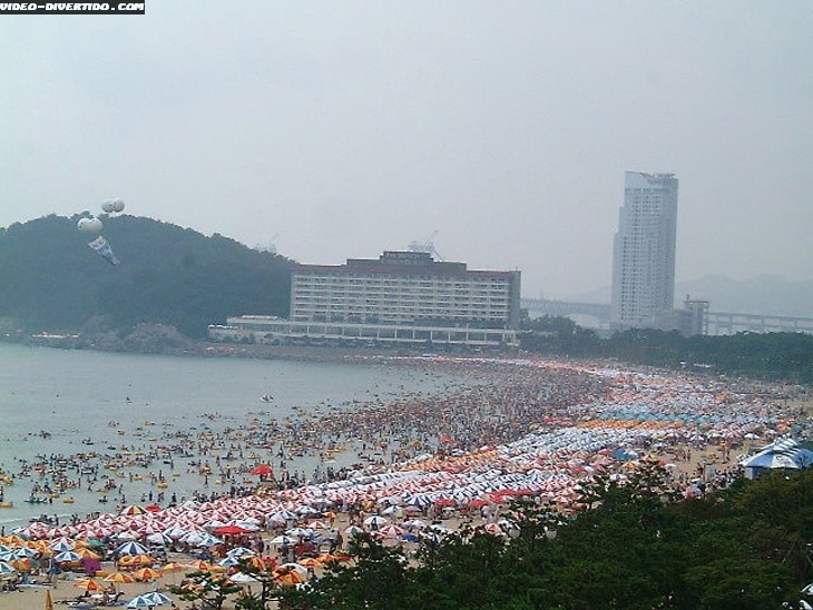 Praia Japonesa 6